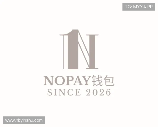 解读NOPAY钱包